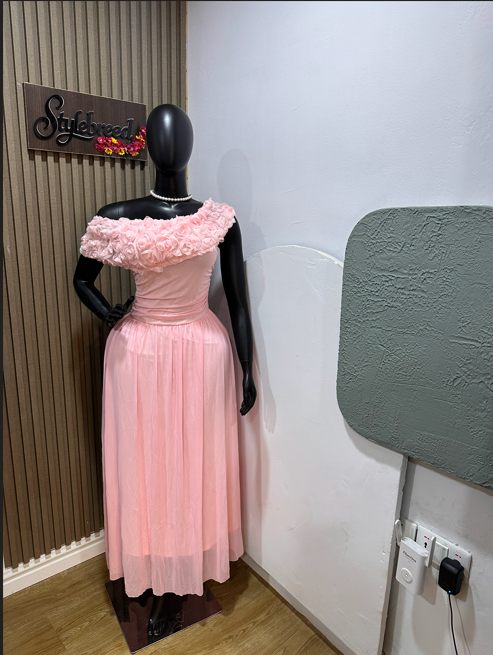 SB Pink Rose Neck Mesh Dress